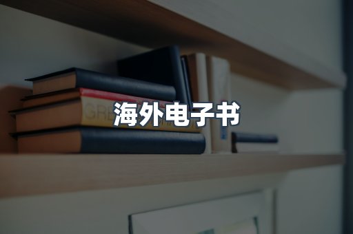 海外电子书